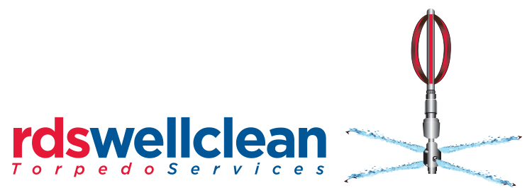 Well_Clean_logo